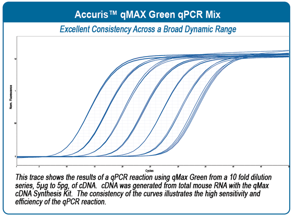 qMAX Green qPCR Mix
